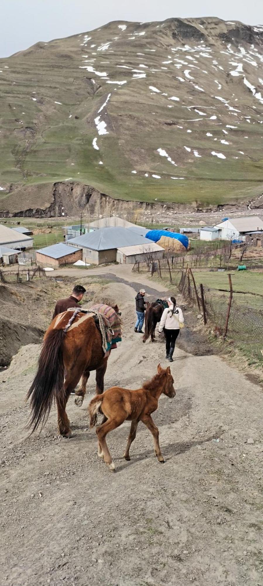 Xinaliq Elnur Guest House, New Hotel Экстерьер фото