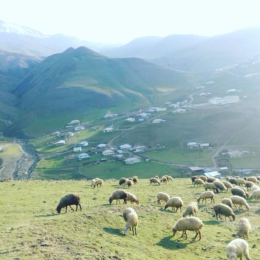 Xinaliq Elnur Guest House, New Hotel Экстерьер фото